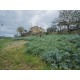 UNFINISHED FARMHOUSE FOR SALE IN FERMO IN THE MARCHE in a wonderful panoramic position immersed in the rolling hills of the Marche in Le Marche_9